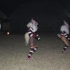 Chipala Cultural Experience - Image 7