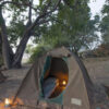 Chobe 2 Day 1 Night Safari - Image 8