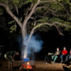 Chobe 2 Day 1 Night Safari - Image 9