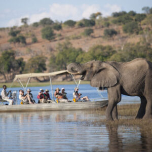 Chobe 2 Day 1 Night Safari