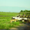 Kasane Transfers - Image 3