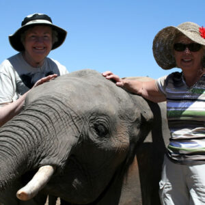 Elephant Interaction & Flights Over Falls