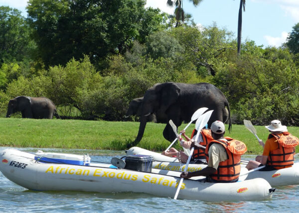 Half Day Canoeing