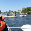 Half Day Canoeing - Image 2