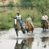 Horse Back Trails - Image 4