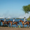 Horse Back Trails - Image 7