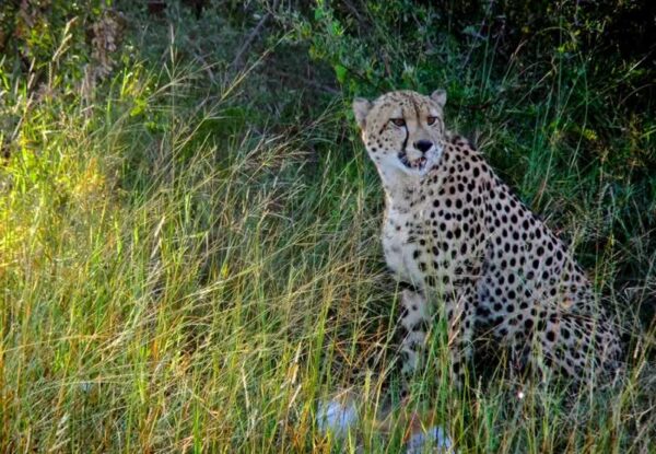 Hwange Day Trip