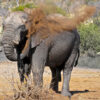 Hwange Day Trip - Image 2