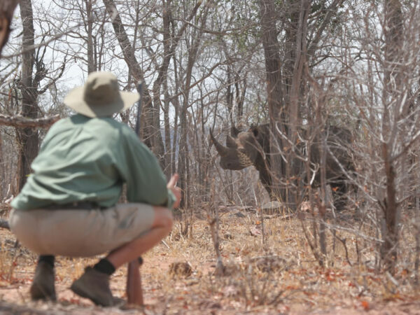 Hwange Mobile Camping Safari 7 Days
