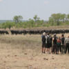 Hwange Mobile Camping Safari 7 Days - Image 2