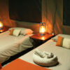 Hwange Mobile Camping Safari 7 Days - Image 5