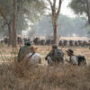 Hwange Mobile Camping Safari 7 Days - Image 6