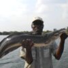 Zambezi Fishing Safari - Image 4