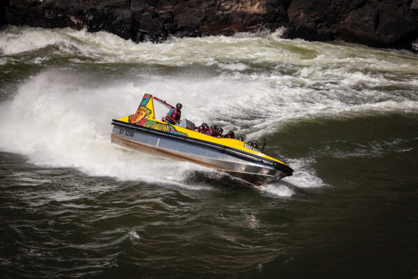 Zambezi Jetboat Experience