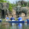Upper Zambezi Canoe Safari - Image 3