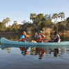 Upper Zambezi Canoe Safari - Image 5
