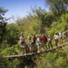 Vic Falls Canopy Tour - Image 2