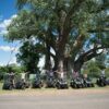 Victoria Falls Quad Bike Tours - Image 3
