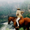 Zambezi Horse Trails - Image 2