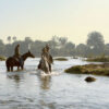 Zambezi Horse Trails - Image 4