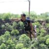 Batoka Gorge Flying Fox - Image 6
