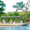 Victoria Falls Safari Experience - Image 2
