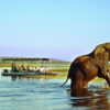 Victoria Falls Safari Experience - Image 3
