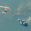 Microlights Flights of Angels - Image 3