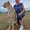 Cheetah Experience - Image 2