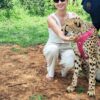 Cheetah Experience - Image 3