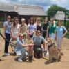 Cheetah Experience - Image 4