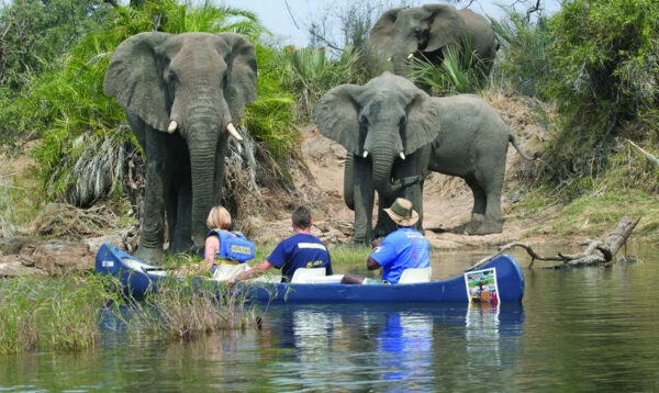 Tick-It to Adventure & Get a FREE Cruise