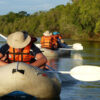 Sunset Canoe Safari - Image 3
