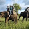 Safari Pass - Save over 10% - Image 4