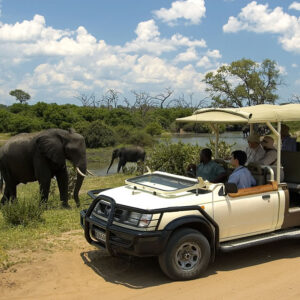 Victoria Falls Safari Experience