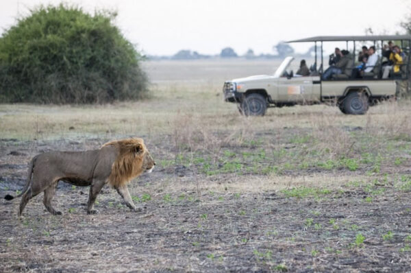 Victoria Falls 4 Day Adventure Package