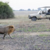 Victoria Falls 3 Day Adventure Package - Image 4