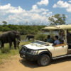 Safari Pass - Save over 10% - Image 6