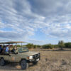Chobe Day Trip from Victoria Falls & Livingstone - Image 8