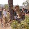 Victoria Falls Day Tour from Chobe, Vic Falls & Livingstone - Image 4