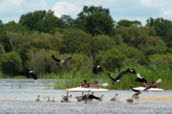 Zambezi Canoe Trails