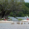 Zambezi Canoe Trails - Image 11