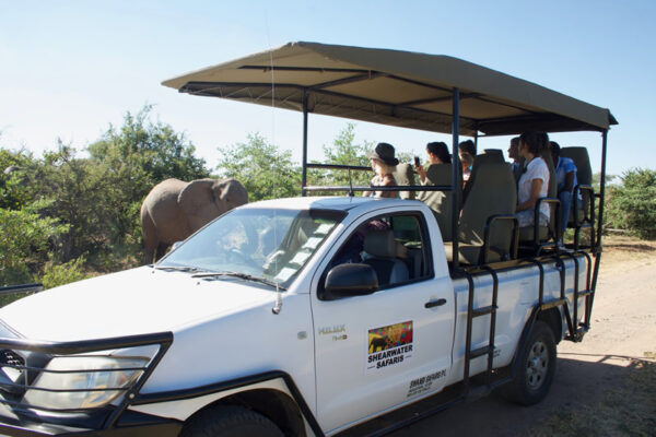 Victoria Falls Game Drives by Shearwater