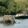 Scenic River Safaris - Image 5