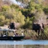 Scenic River Safaris - Image 6